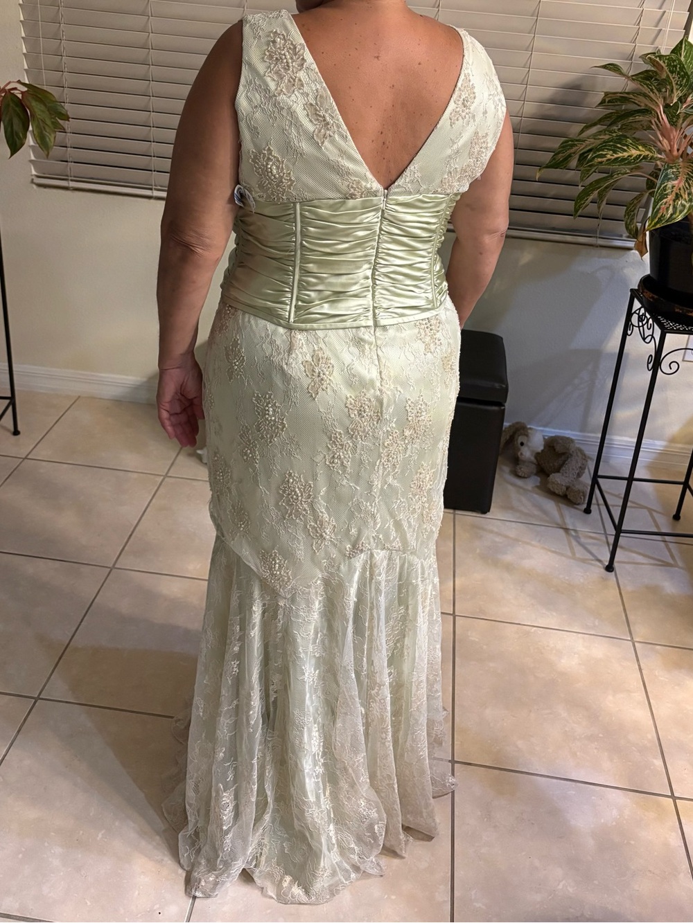 Terani Couture Pale Green Lace Backless Evening Gown